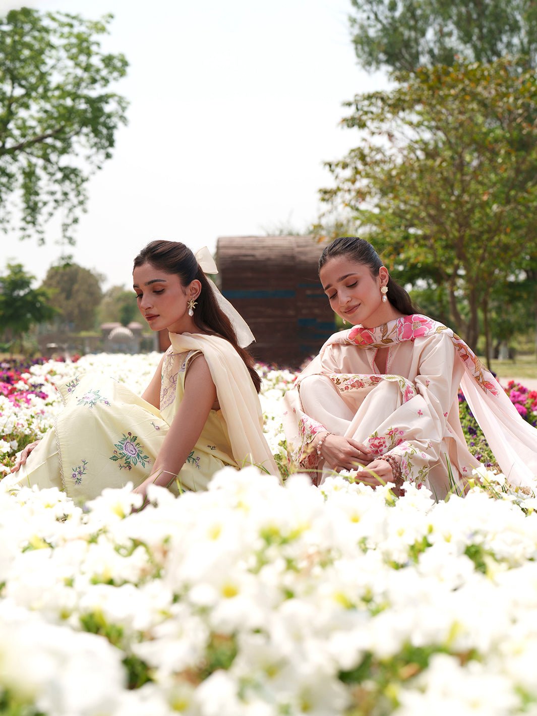 Lily - Deyarofficial
